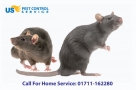 Rat-Control-Service-
